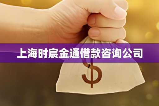 上海时宸金通借款咨询公司