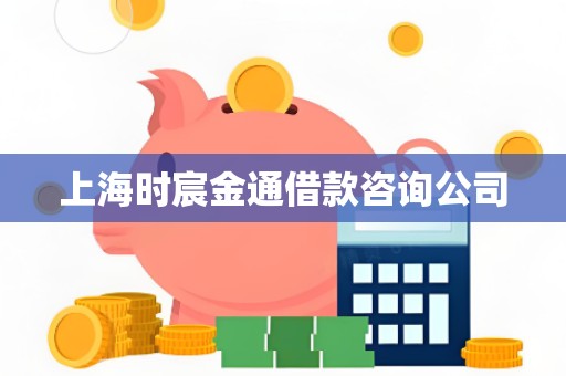 上海时宸金通借款咨询公司