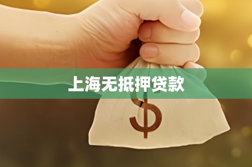 上海无抵押贷款 上海无抵押贷款