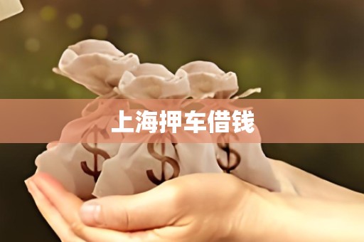 上海押车借钱