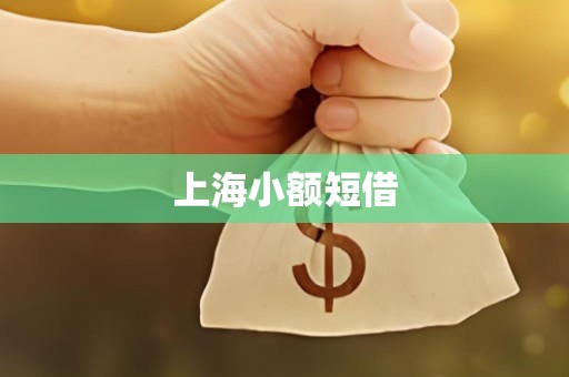上海小额短借